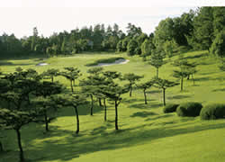 Aoi Country Club